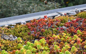 the cost of Greystones green roof installation