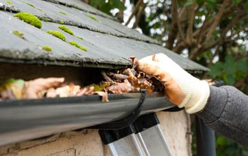 gutter cleaning Greystones