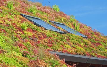 Greystones living roof systems
